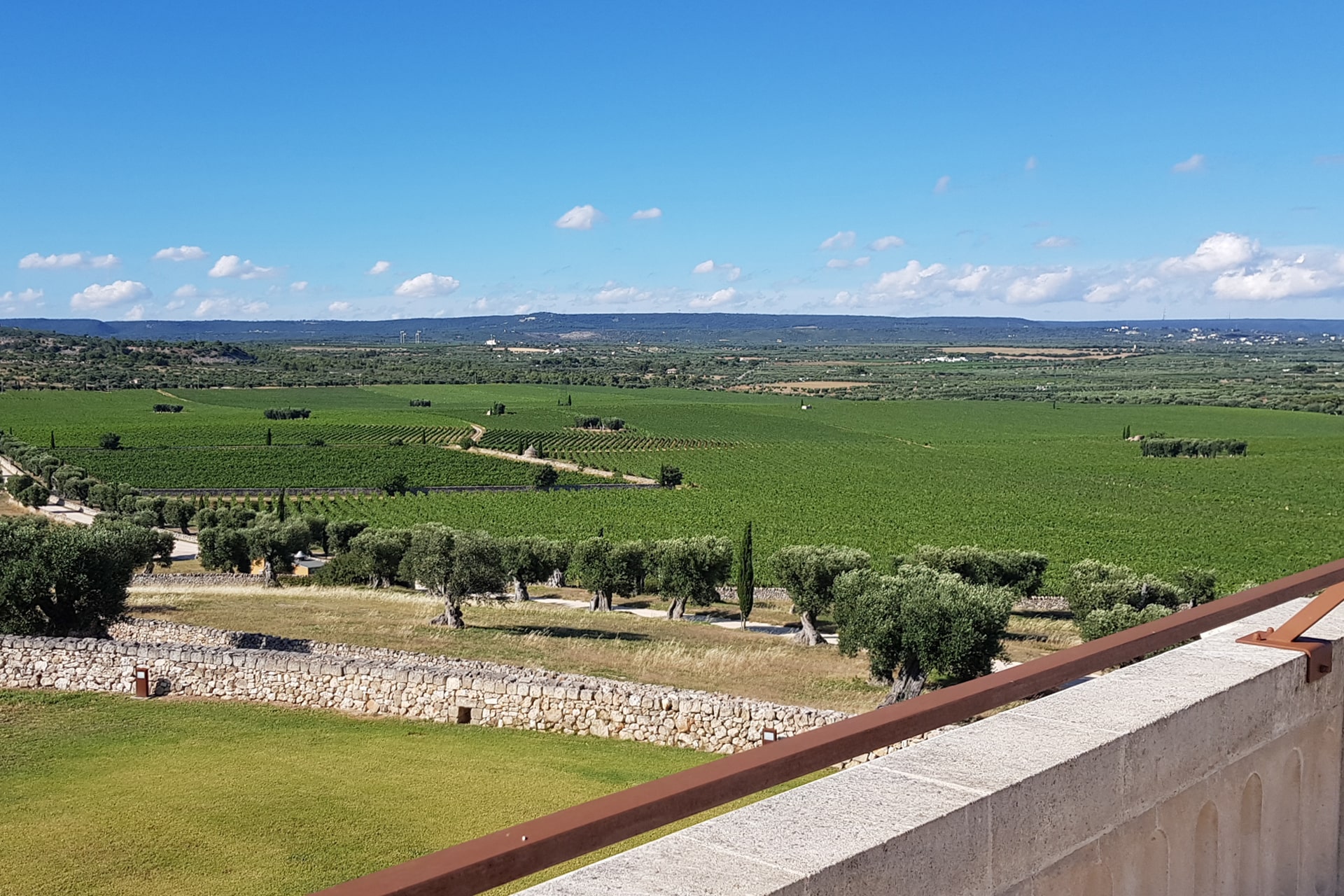 Masseria Amastuola: vigneto-giardino