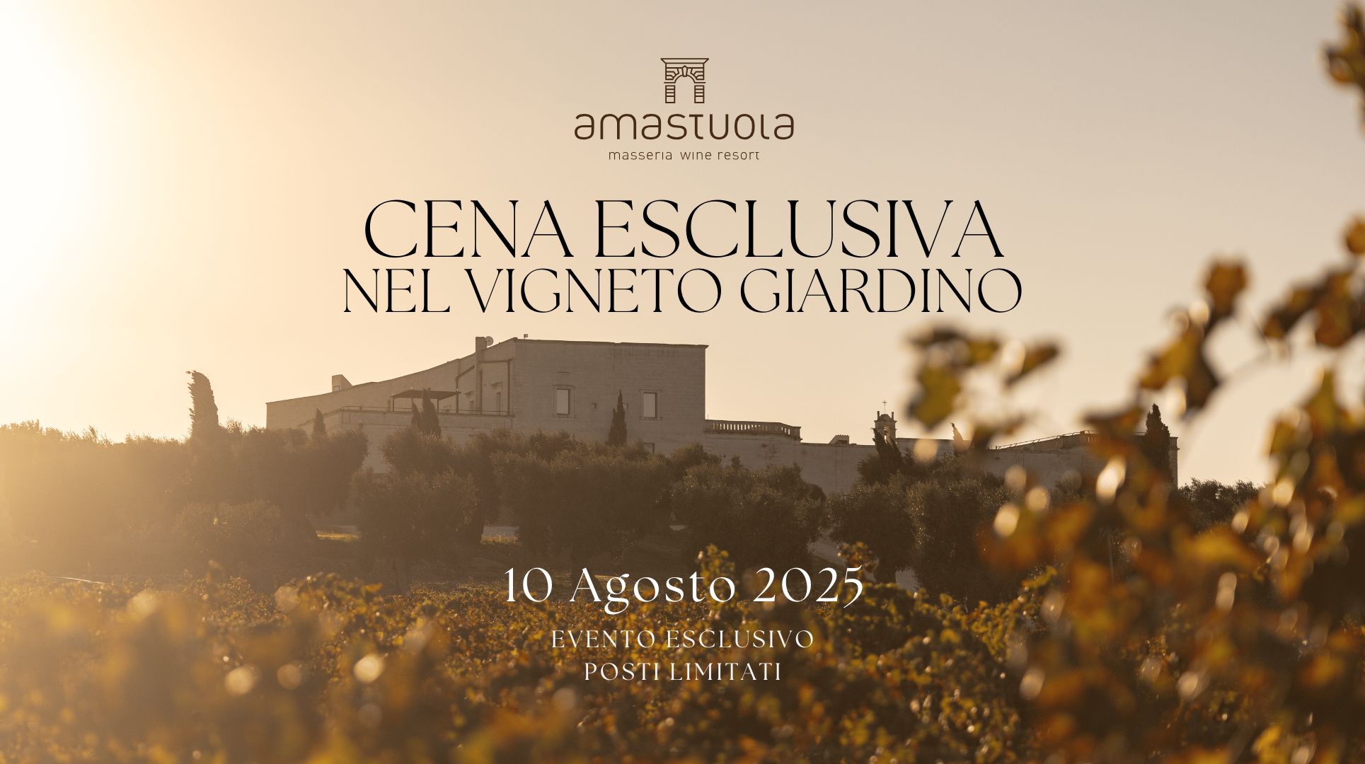 Cena esclusiva nel vigneto di amastuola